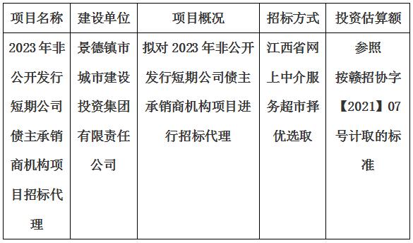 2023年非公開發(fā)行短期公司債主承銷商機構(gòu)項目招標(biāo)代理計劃公告