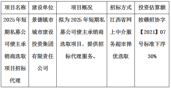 2025年短期私募公司債主承銷商選取項目招標(biāo)代理計劃公告