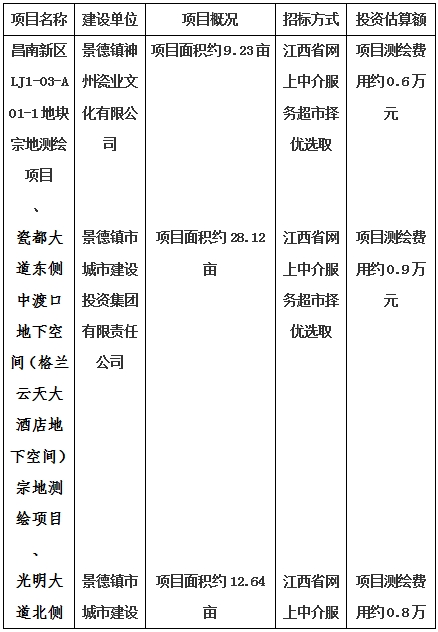 景德鎮(zhèn)市昌南新區(qū)LJ1-03-A01-1地塊、瓷都大道東側(cè)中渡口地下空間（格蘭云天大酒店地下空間）、光明大道北側(cè)利民路西側(cè)地下空間（青少年宮地下空間）、規(guī)劃二路北側(cè)地下空間地塊二（加速基地地下空間）、規(guī)劃二路北側(cè)地下空間地塊一（加速基地地下空間）、景德大道南側(cè)天寶橋西側(cè)地塊、景興大道東側(cè)如意路北側(cè)地下空間(社會(huì)公共服務(wù)